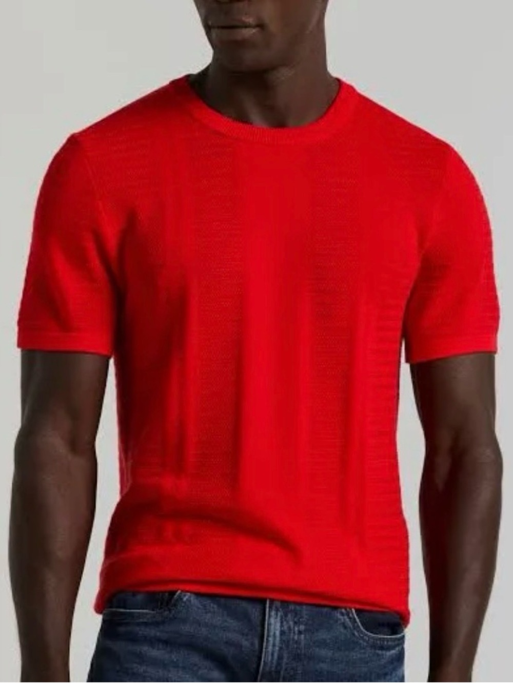 Perry Ellis Men's Textured Stripe Crew Neck T-Shirt (racing red)